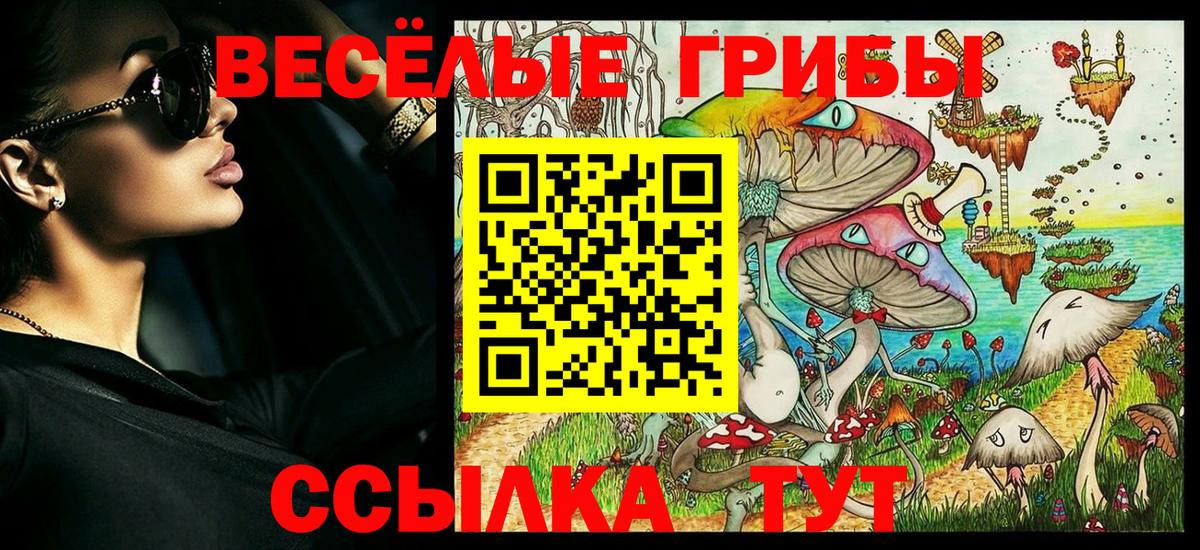 Хабаровск  Псилоцибиновые грибы мицелий  Вход с VPN  Псилоцибиновые грибы Magic Shrooms 