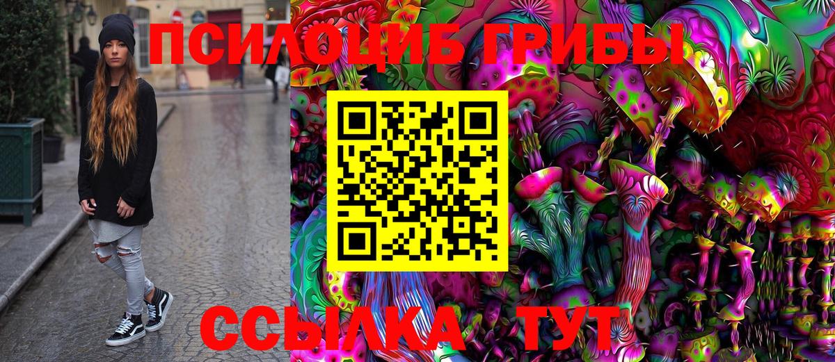 Галлюциногенные грибы Cubensis Хабаровск